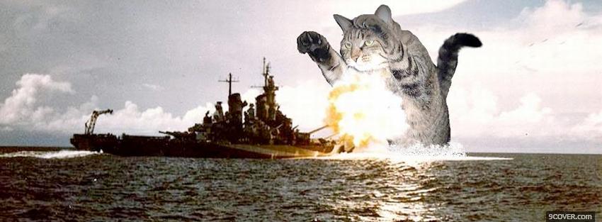 Photo cat destroying ship Facebook Cover for Free