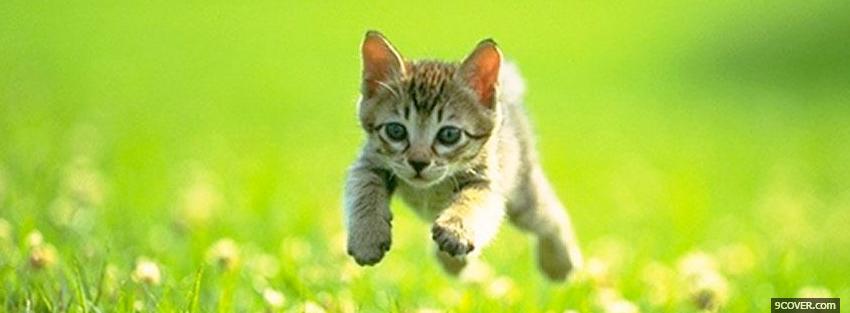 Photo jumping outside cat Facebook Cover for Free