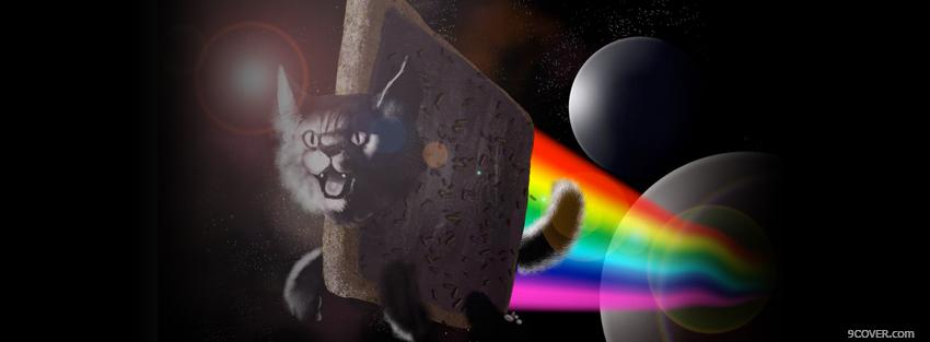 Photo nyan cat animals Facebook Cover for Free
