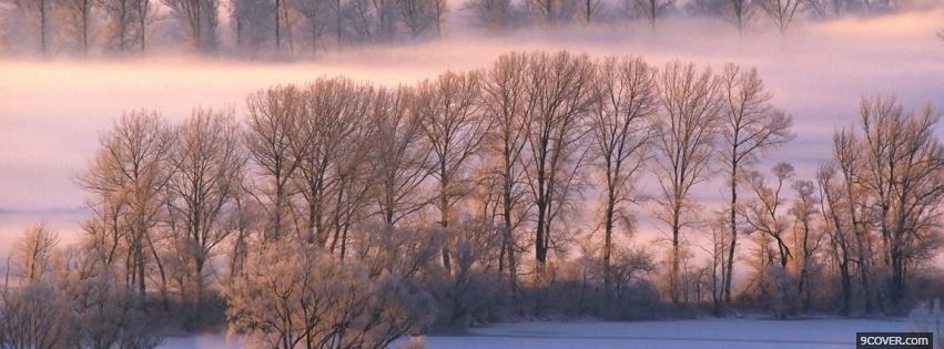Photo scenery of trees and snow Facebook Cover for Free