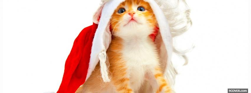 Photo precious kitten with hat Facebook Cover for Free