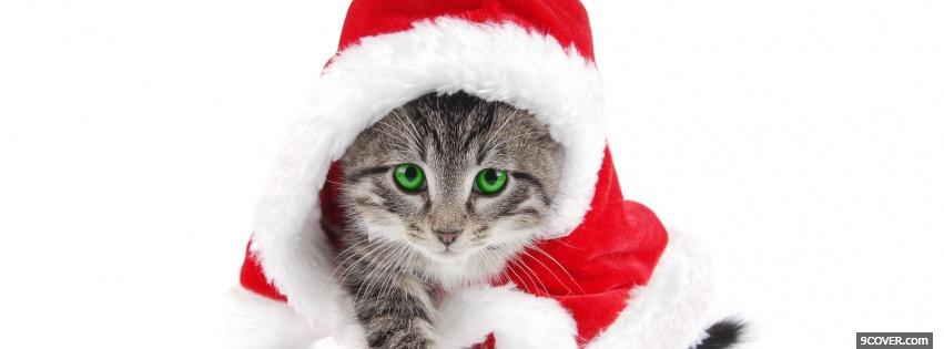 Photo green eyes kitten with christmas hat Facebook Cover for Free
