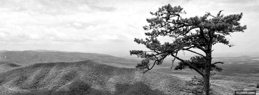 Photo black and white scenery Facebook Cover for Free