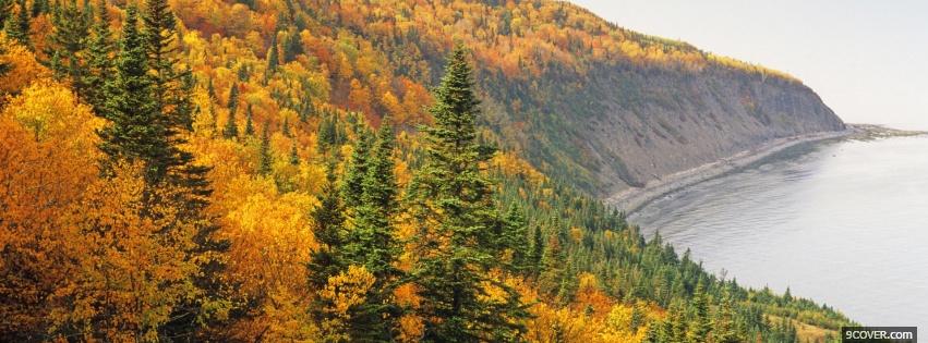 Photo autumn forest trees nature Facebook Cover for Free