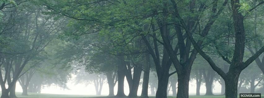 Photo morning mist nature Facebook Cover for Free