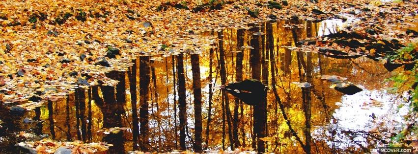 Photo autumn leaves and rain Facebook Cover for Free