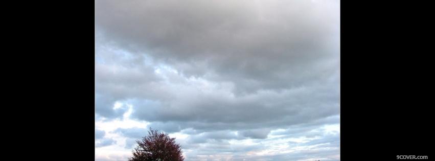 Photo grey sky tree nature Facebook Cover for Free