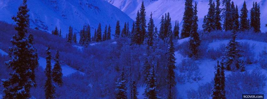 Photo blue winter nature Facebook Cover for Free