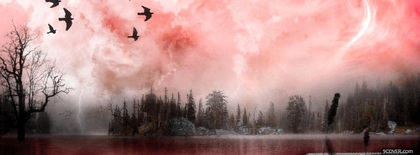 Photo birds flying nature Facebook Cover for Free