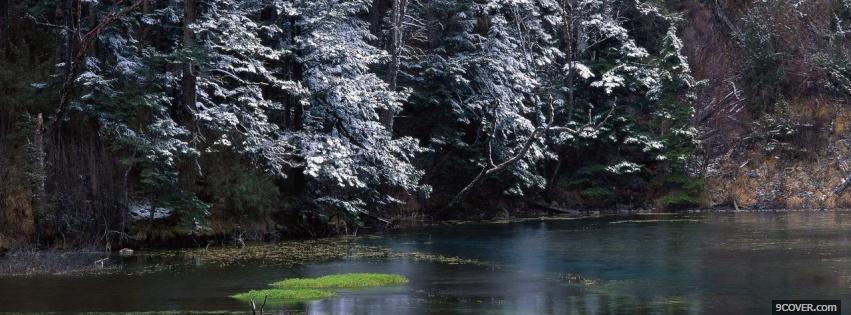 Photo pine trees nature Facebook Cover for Free Photo pine trees nature Facebook Cover for Free
