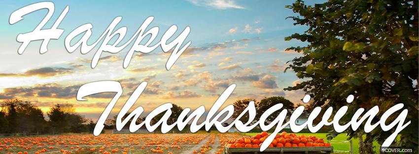 Photo pumpkins thanksgiving holiday Facebook Cover for Free