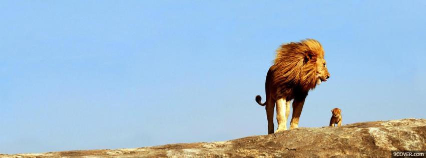 Photo Beautiful Sky Lion  Facebook Cover for Free