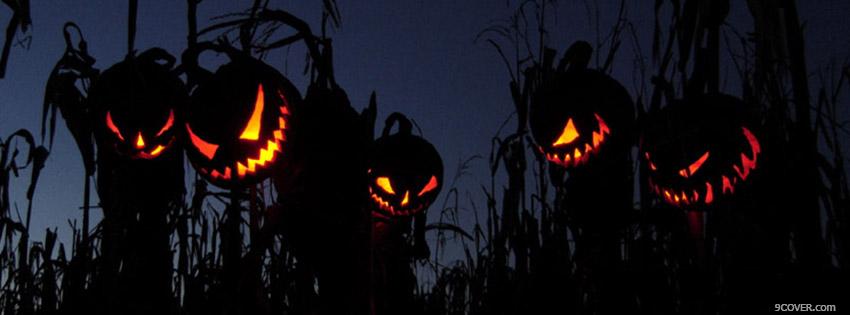 Photo Halloween Pumpkins Facebook Cover for Free