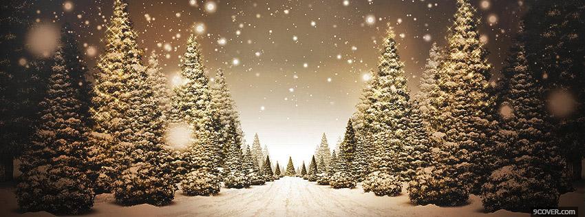 Beautiful Christmas Road facebook cover