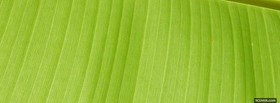 lime green abstract line facebook cover