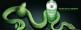 green alcohol drink facebook cover