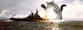 cat destroying ship facebook cover
