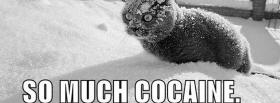 so much cocaine animals facebook cover