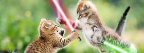 star wars cats animals facebook cover