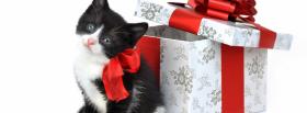 black kitty next to gift facebook cover