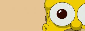 tv shows homers eyes facebook cover