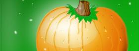 bright orange pumpkin facebook cover bright orange pumpkin facebook cover