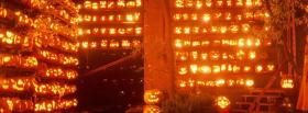 various beautiful pumpkins facebook cover various beautiful pumpkins facebook cover