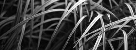 metal black and white art facebook cover
