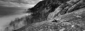 wilderness black and white facebook cover