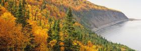 autumn forest trees nature facebook cover