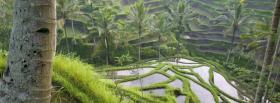 bali rice fields nature facebook cover