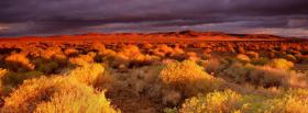 antelope valley nature facebook cover