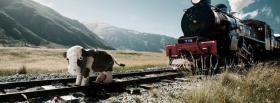 cow and train nature facebook cover