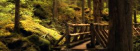 bridge in woods nature facebook cover