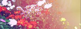 flower and globe nature facebook cover