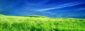 bright green grass nature facebook cover
