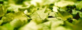 fallen green leaves nature facebook cover