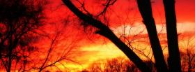 fiery forest nature facebook cover