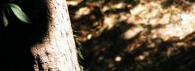 simple tree trunk nature facebook cover