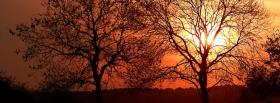 trees sunset nature facebook cover