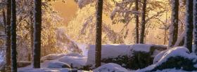snowy pine forest nature facebook cover