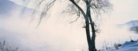 tree on winter nature facebook cover