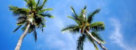 tall palm trees nature facebook cover