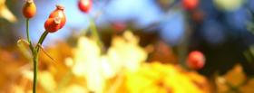 red plants nature facebook cover