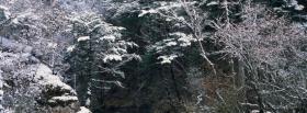 trees and snowfall nature facebook cover