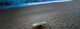 shell and sand nature facebook cover