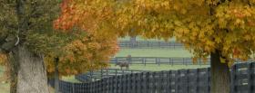 autumn horse farm nature facebook cover