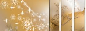 sparkles and christmas facebook cover