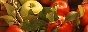 red and green apples facebook cover