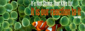 reaction to stress quote facebook cover
